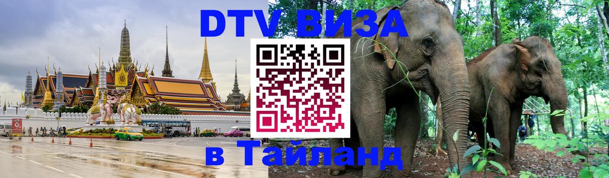 Оформление DTV визы под ключ: стоимость и тарифы, только загранпаспорт - Мытищи  05.12.2025 